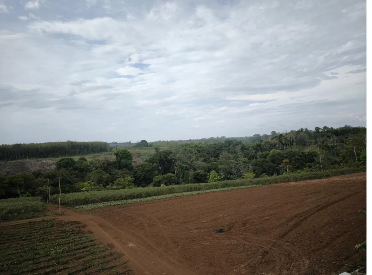 Happy Roots community